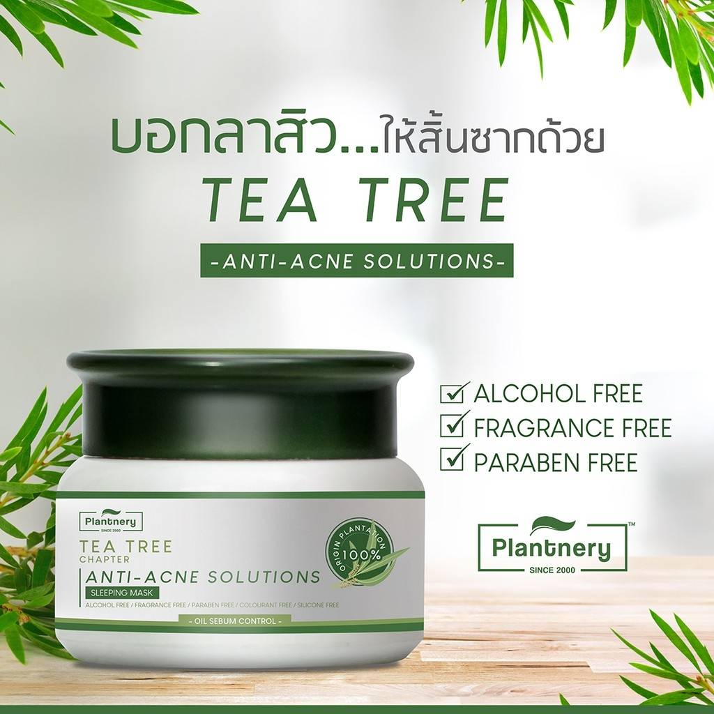 Plantnery Tea Tree Sleeping Mask