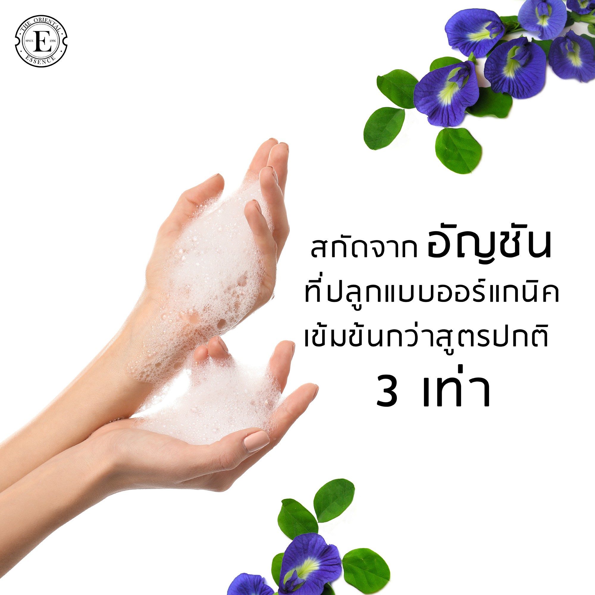 The Oriental Essence,Clitoria Ternatea Shampoo,The Oriental Essence Clitoria Ternatea Shampoo,แชมพูอัญชัน,แชมพู